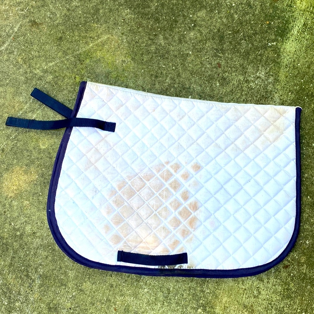 Dover Saddlery AP show pad